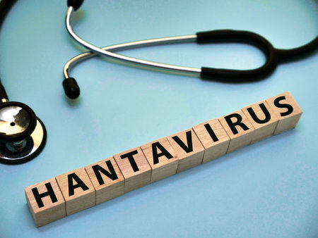 Hantavirus, text words typography written with wooden letter, health and medical conceptの写真素材