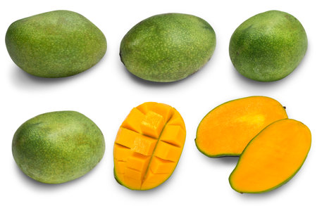 Set collection of green ripe spotted mango cut out on white background, exotic tropical fruitの写真素材