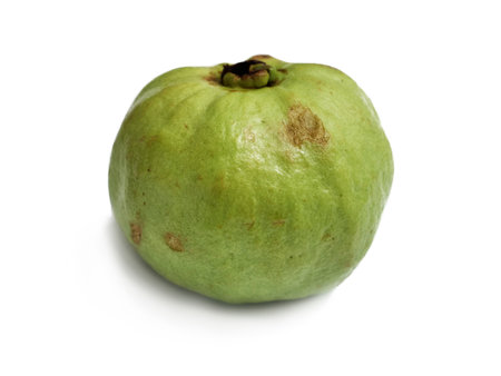 Guava, green organic ripe fresh exotic tropical fruit isolated cut out on whiteの写真素材
