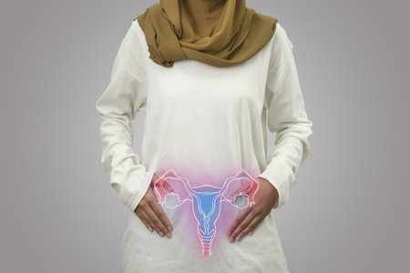 Digital composition of women internal reproduction system, healthy reproductive female, health and medical conceptの写真素材