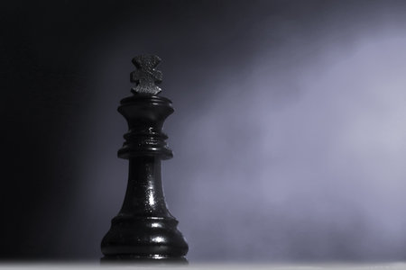 Black chess king standing under ray beam over dark foggy background with negative copy space, business strategy conceptの写真素材
