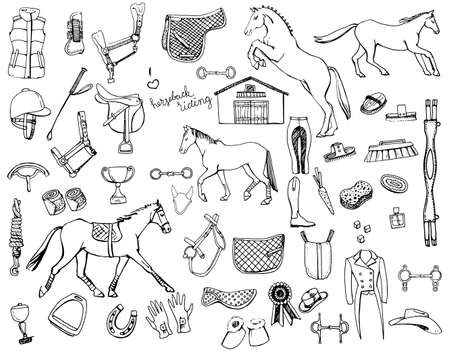 Hand drawn doodles of horse back riding equipment, horse gaits and grooming kit.のイラスト素材