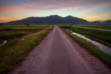 Beautiful view of rice paddy field during sunrise in Malaysia. Nature composition. soft focus,blur due to long exposure.の写真素材
