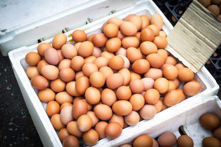 Chicken egg in the foam box