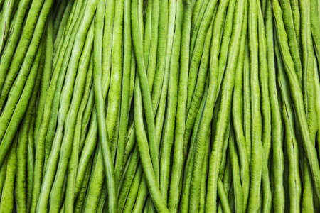 The Texture of yardlong bean in the marketの写真素材