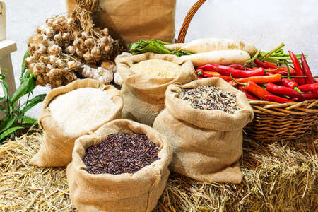 Four kinds of rice in small burlap bags and organic vegetable on straw.の写真素材