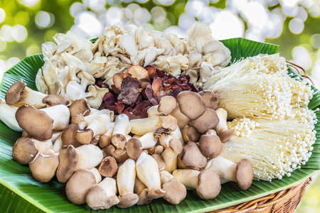 Close up of an assortment of mushrooms on banana leaf.の写真素材
