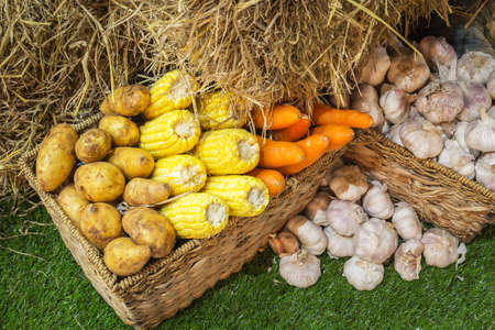 Multiple different vegetables in a wicker basket against the green background.の写真素材