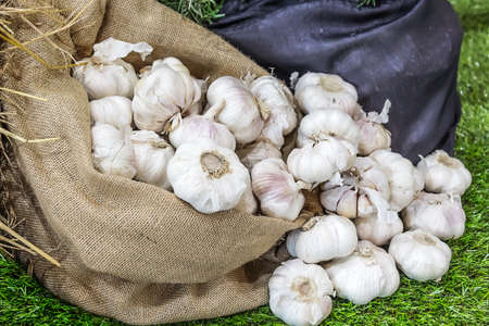 Close up shot garlic in a bagの写真素材