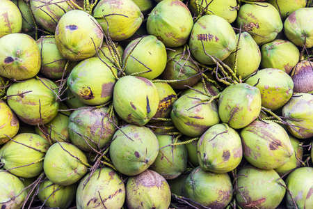 Texture background of coconutの写真素材