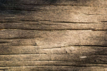 Close up shot texture of Old wood with sun light.の写真素材