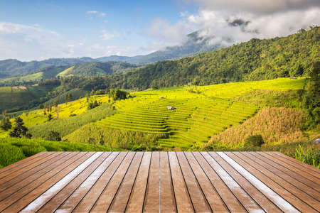 Landscape shot paddy field shoot from the terraceの写真素材