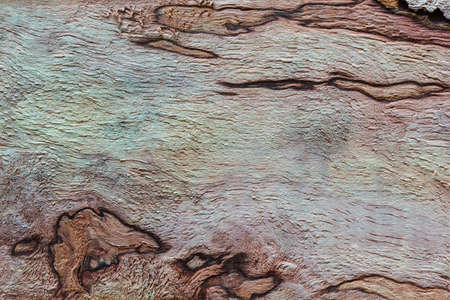 Close up shot old wood textureの写真素材