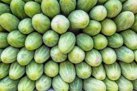 Pattern of many cucumber textureの写真素材