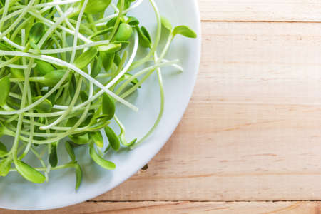 Close up shot Sunflower sprouts in white dish on wood tableの写真素材