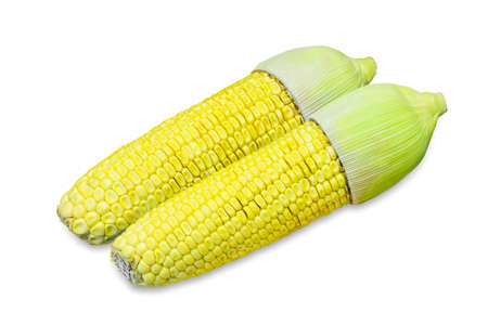 A photo of two yellow corn on isolate white background, Selective focus, Soft focusの写真素材