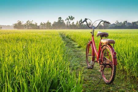 A photo of red bicycle with rural view background in the morningの写真素材