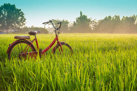 A photo of Red bicycle with rural view background in the morningの写真素材
