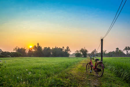 A photo of Red bicycle on the road with rural view background in the morningの写真素材