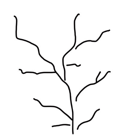 Dry tree branch. Vector illustration isolated on a white background.の写真素材