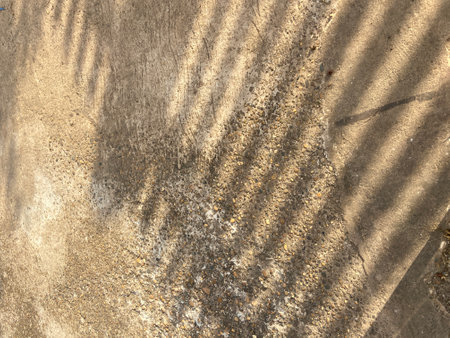 Shadow of palm leaf on cement floor. Abstract background for design.の写真素材