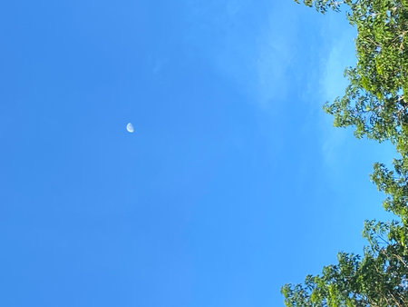Blue sky with clouds and the moon. Natural background.の写真素材