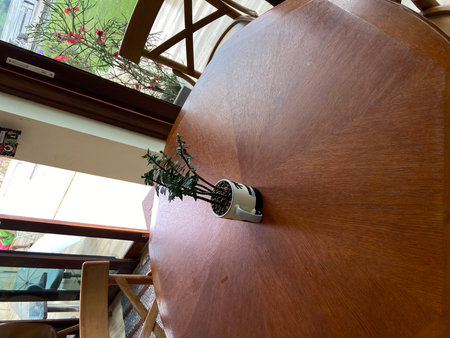 Interior of a restaurant with a wooden table and a chair.の写真素材