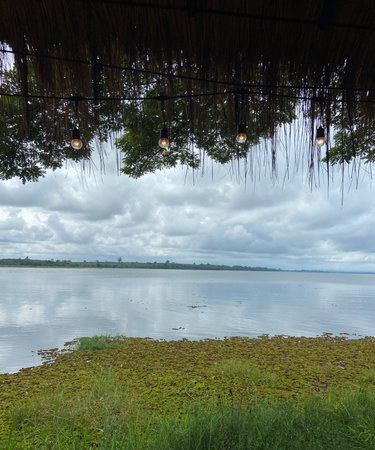 Lanterns hanging on the tree on the lakeの写真素材