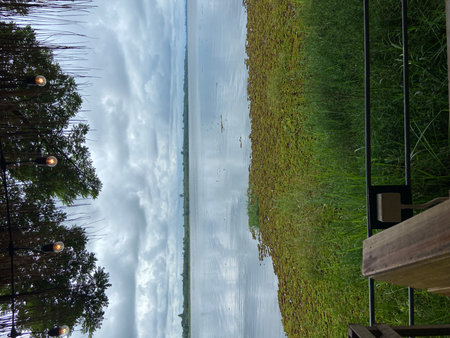 Reflection of the sky and clouds in a paddy field.の写真素材
