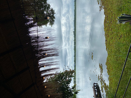 Reflection of the sky and clouds in the paddy field.の写真素材