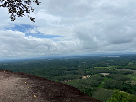 View from the top of the mountain in the middle of the forestの写真素材