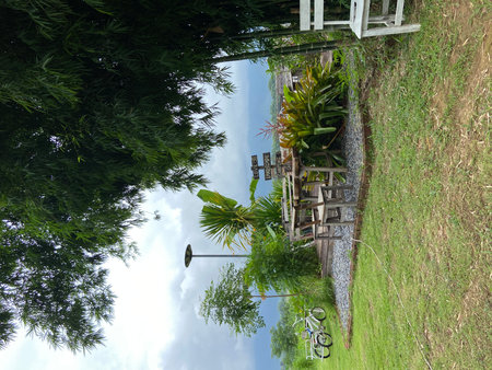 garden view from the balcony of a house with green grass and blue skyの写真素材