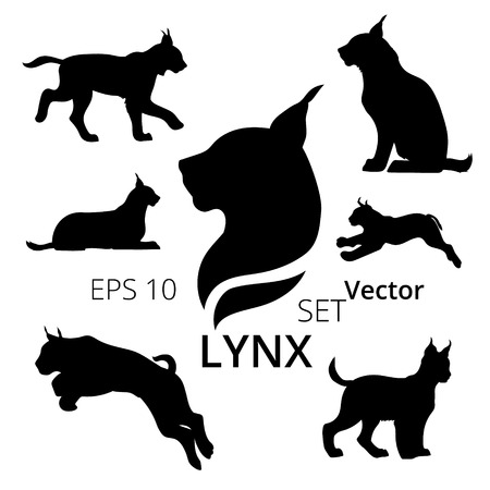 Lynx set of silhouettes, vectorのイラスト素材