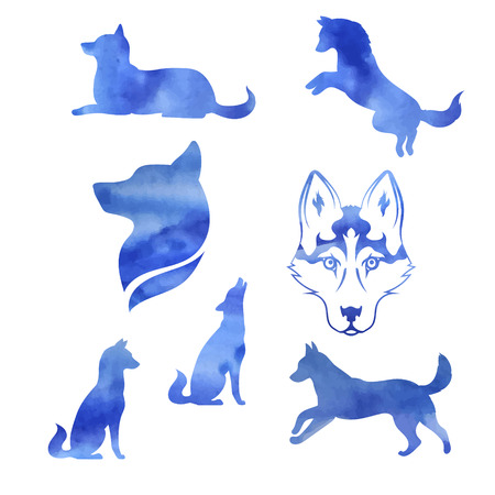Watercolor dog husky icons and silhouettes. Set of illustrations in different poses.のイラスト素材