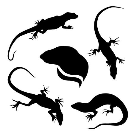 Lizard set of silhouettes vector. Collection of animal icons.のイラスト素材