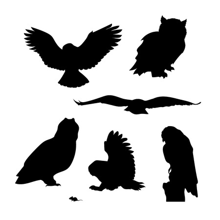 Owl set of silhouettes vector. Collection of animal icons.のイラスト素材