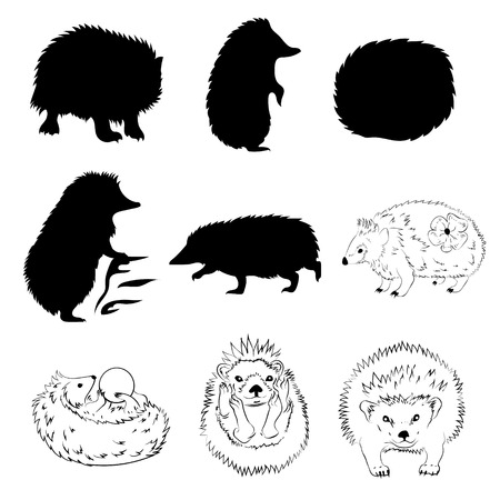 Hedgehog set vector, eps 10. Collection of animal icons.のイラスト素材