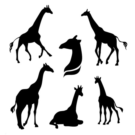 Giraffe set of silhouettes, vector. Collection of animal icons.のイラスト素材
