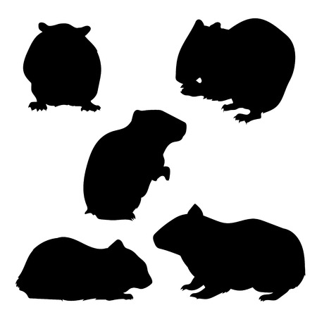 Hamster set of silhouettes, vector . Collection of animal icons.のイラスト素材