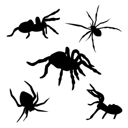 Spider set of black silhouettes. Icons and illustrations of animals. Wild animals pattern.のイラスト素材