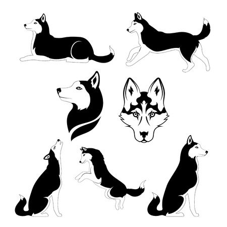 Husky icons and silhouettes. Set of graphic illustrations in different poses.のイラスト素材