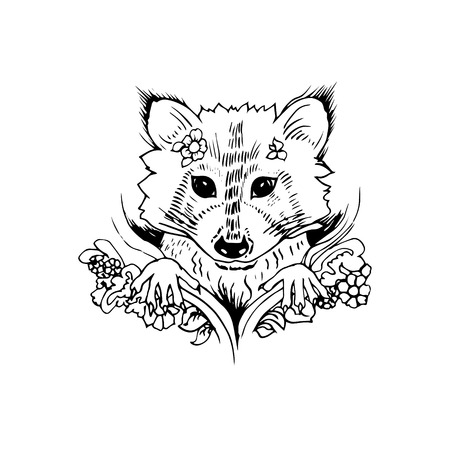 Black and white raccoon isolated. Engraving sketch. Abstract vector raccoon in the flowers. Print for t-shirt. Wild things.のイラスト素材