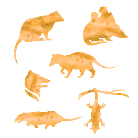 Opossum vector watercolor icons and patterns. Set of illustrations in different poses.のイラスト素材