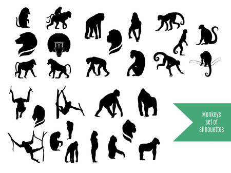 The big vector set of wild monkeys silhouettes. The big collection of wild animals.のイラスト素材