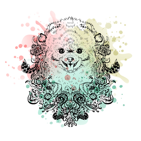 Spitz graphic dog, abstract vector illustration. It may be used for design of a t-shirt, bag, postcard, a poster, phone case and so on.のイラスト素材