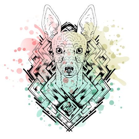 Black and white animal Dog head, abstract art, tattoo, doodle cketch. Watercolor splash. Dog breed Toy fox terrier.  Design for shirt, bag, jacket, package, phone case and so on. Vector illustration.のイラスト素材