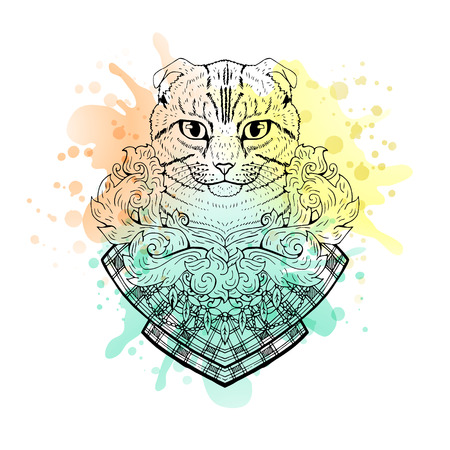 Black and white animal Cat head, watercolor abstract art, tattoo, doodle sketch. Scottish fold cat. Design for t-shirt, bag, jacket, package, phone case and so on. Vector illustration.のイラスト素材
