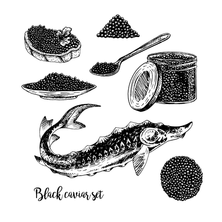 Hand drawn set of black caviar. Retro sketches isolated. Vintage hypster collection. Doodle line graphic design. Black and white drawing fish sturgeon jar spoon plate sandwich. Vector illustration.のイラスト素材
