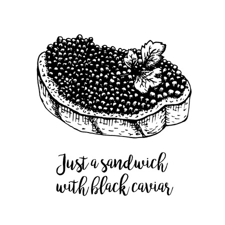 Hand drawn sandwich with black caviar. Retro sketches isolated. Vintage hypster collection. Doodle line graphic design. Black and white drawing sandwich with black caviar. Vector illustration.のイラスト素材