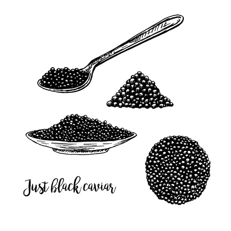 Hand drawn set of plate with black caviar. Retro sketches isolated. Vintage hypster collection. Doodle line graphic design. Black and white drawing black caviar and spoon. Vector illustration.のイラスト素材